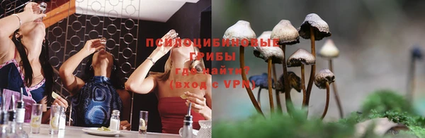 ГАЛЛЮЦИНОГЕННЫЕ ГРИБЫ Красноперекопск