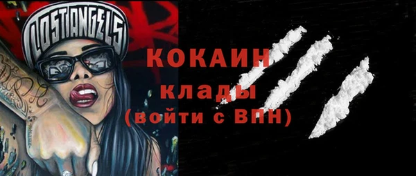 крисы Корсаков