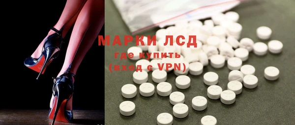 крисы Корсаков